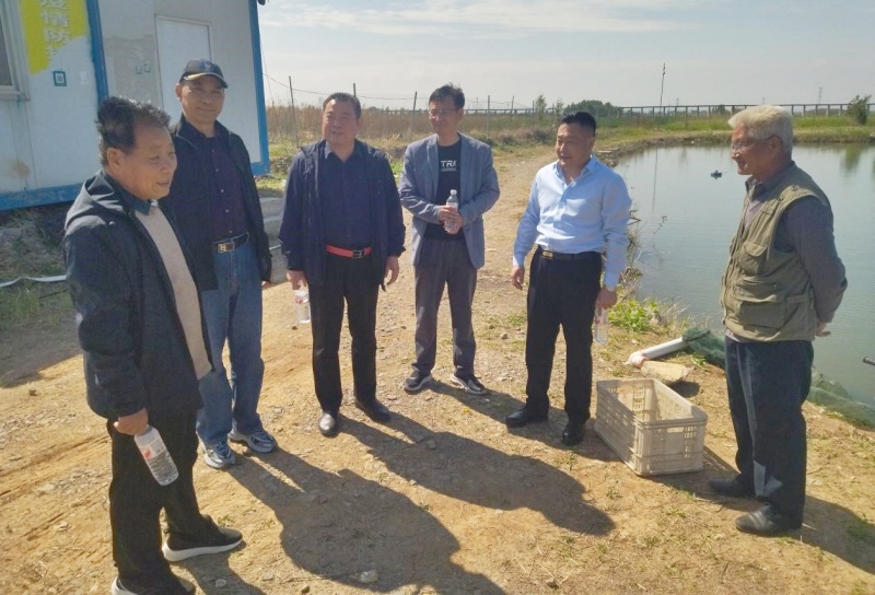 枣庄市孔子后裔联谊会赴滕州西江村调研  共商乡村振兴与文化传承-图片3