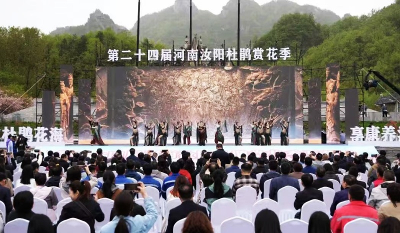 河南汝阳第二十四届杜鹃花赏花季盛大开幕-图片1