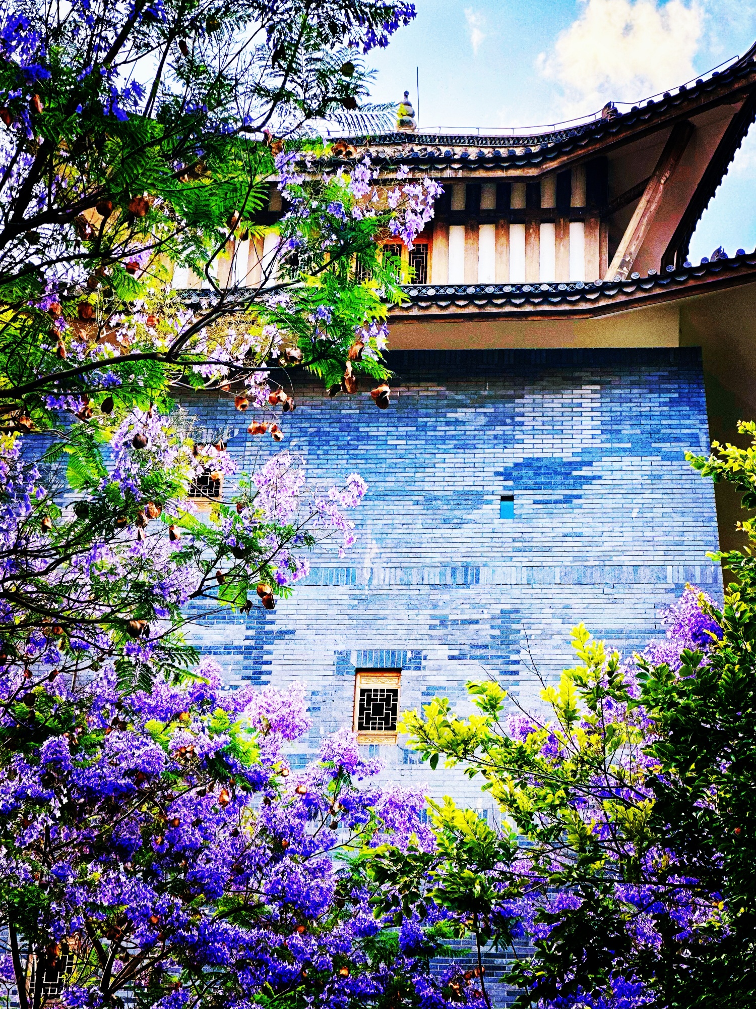 一朵花与一座城的双向奔赴-图片1