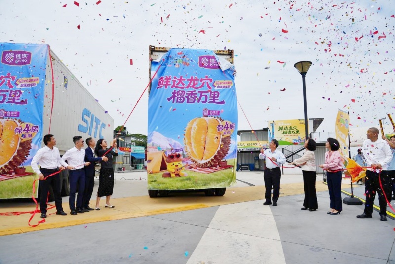 鲜达龙穴，开柜即售！南沙港口新鲜集市榴莲嘉年华燃爆龙穴-图片2