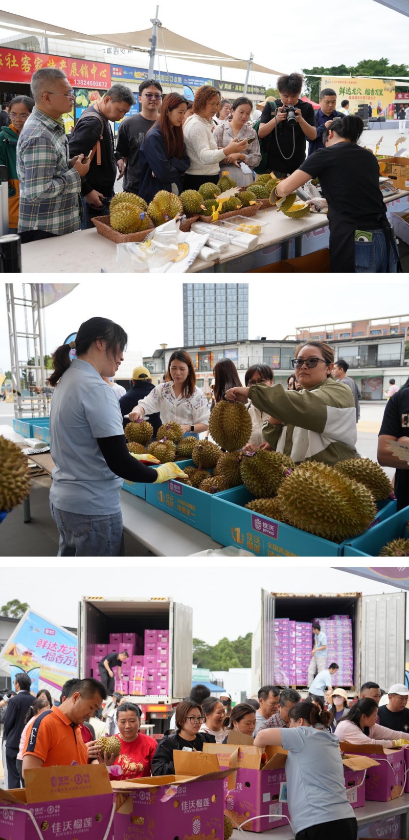 鲜达龙穴，开柜即售！南沙港口新鲜集市榴莲嘉年华燃爆龙穴-图片4