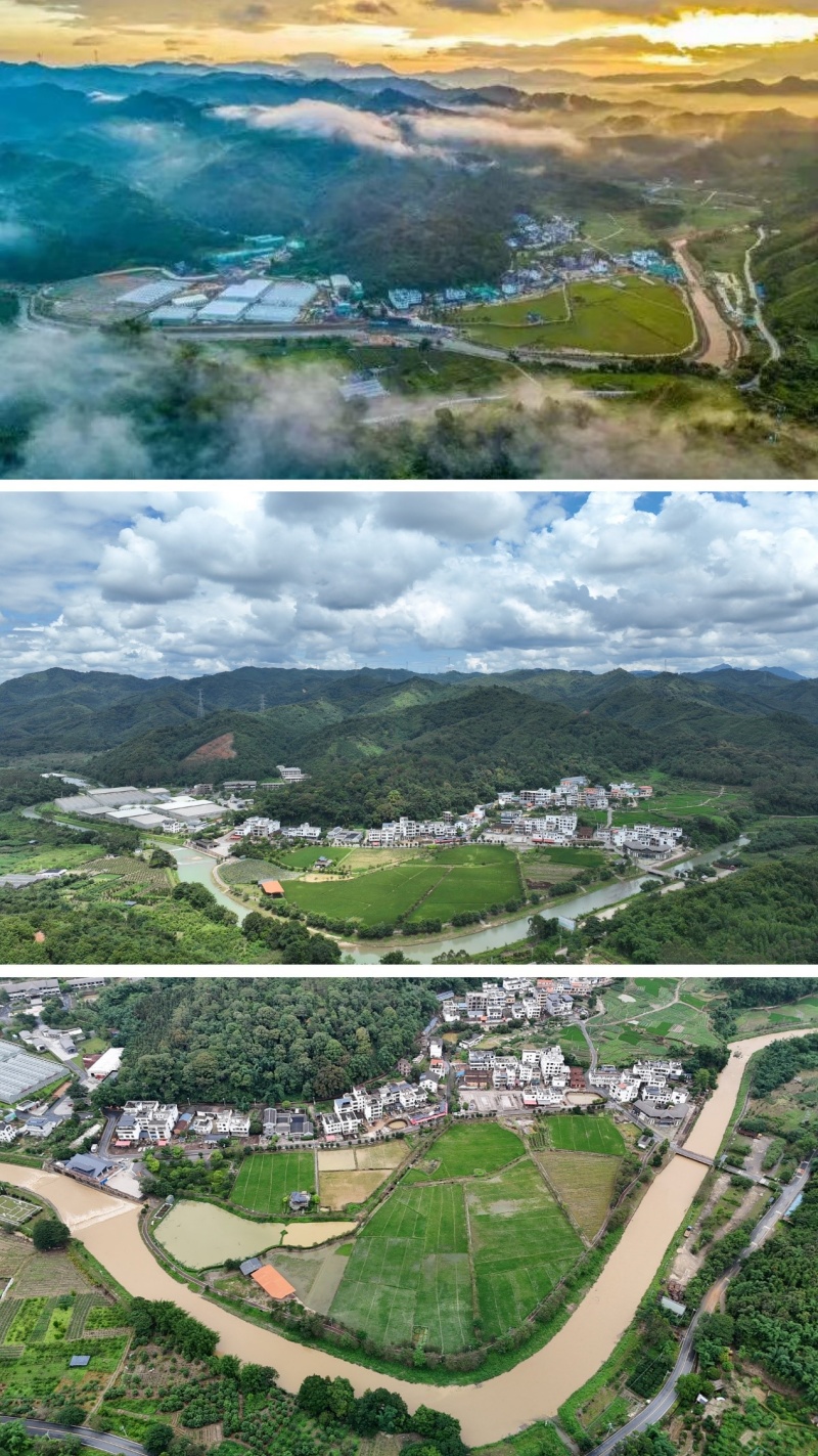 广东英德市连江口镇连樟村：从脱贫攻坚到乡村振兴｜连樟村的发展之路-图片2