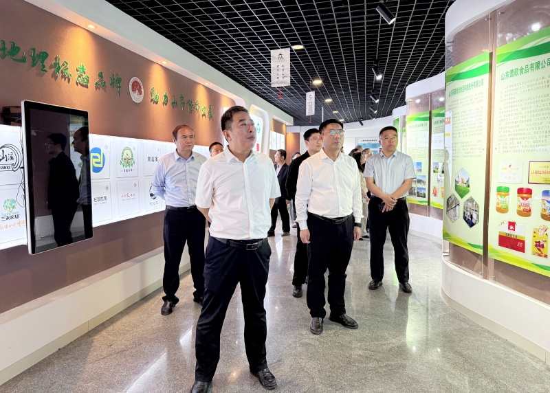 赋能履职强本领 护航企业促发展 ——枣庄市知识产权保护及行政管理业务培训班在山亭区举办-图片3