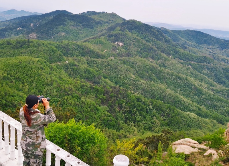 山东临朐沂山： 筑牢生态防火墙  守好“齐鲁第一绿”-图片1
