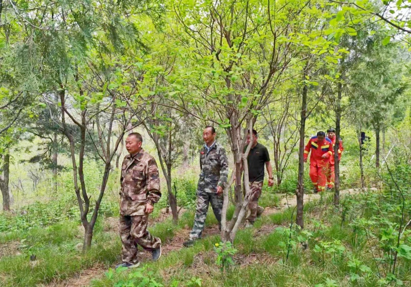 山东临朐沂山： 筑牢生态防火墙  守好“齐鲁第一绿”-图片2