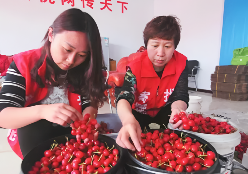 山西“绛县‘樱’你而来”专场直播助农活动火热开播-图片4