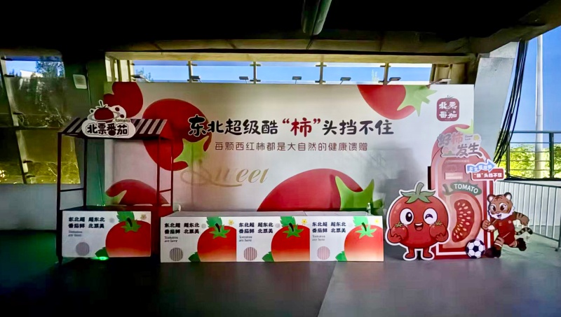 实力出圈!北票番茄登陆东北超,鲜甜承包夏日滋味!-图片3