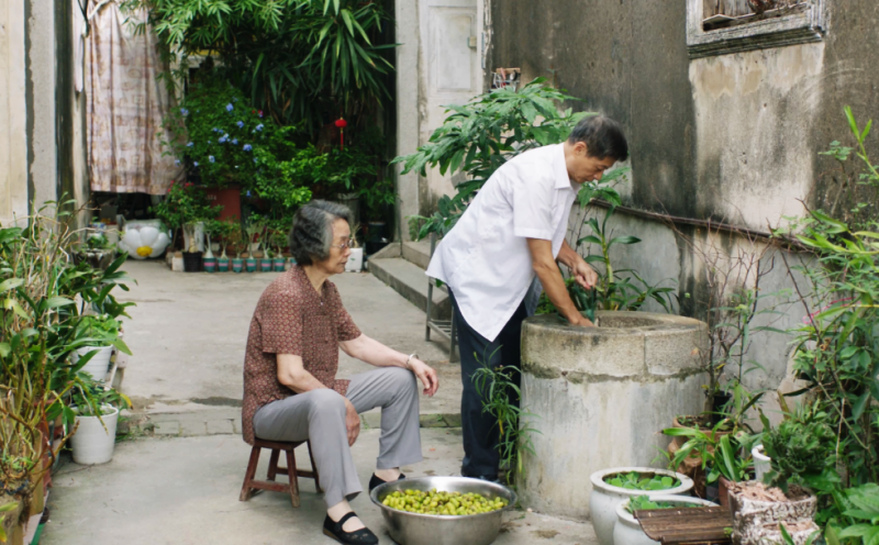 蓬盛橄榄菜：从潮汕杂咸到海外“思乡菜”｜农行汕头分行金融活水润侨乡根脉-图片1