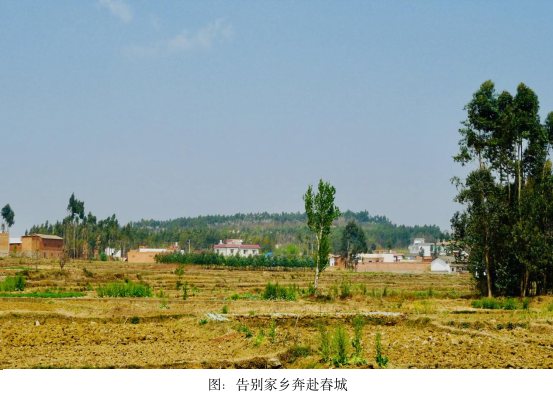 四十八年前的今天，我踏进了阳光灿烂的日子-图片2