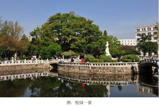 四十八年前的今天，我踏进了阳光灿烂的日子-图片5