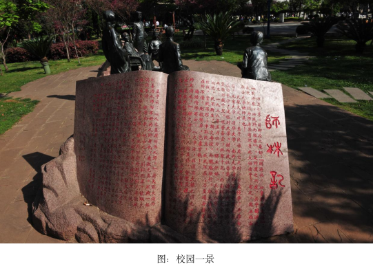 四十八年前的今天，我踏进了阳光灿烂的日子-图片3