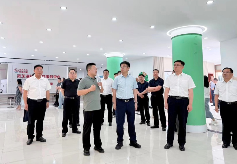 标准赋能发展 护航产业升级-图片2