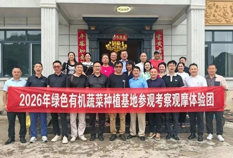 深耕绿色有机农业 共探品质发展之路—各界专家组团考察巴南区东温泉镇绿色有机蔬菜种植基地-图片1