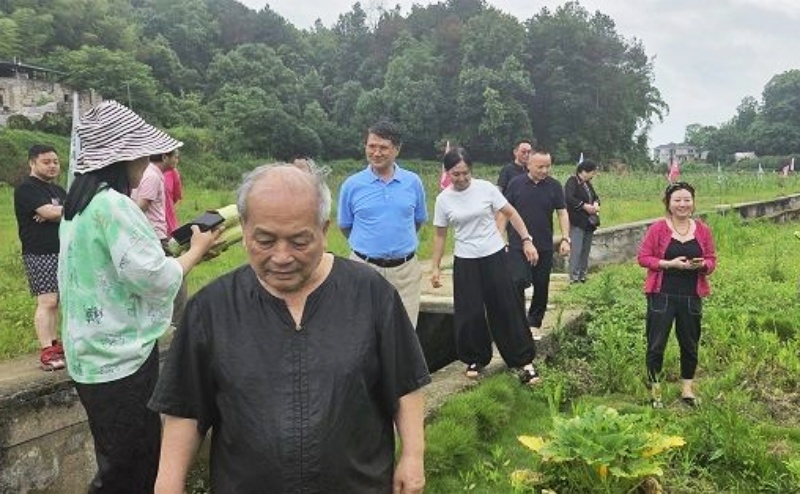 深耕绿色有机农业 共探品质发展之路—各界专家组团考察巴南区东温泉镇绿色有机蔬菜种植基地-图片3