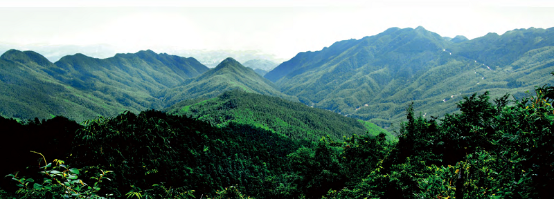 谭文革散文︱养生圣地，天下龙山-图片2
