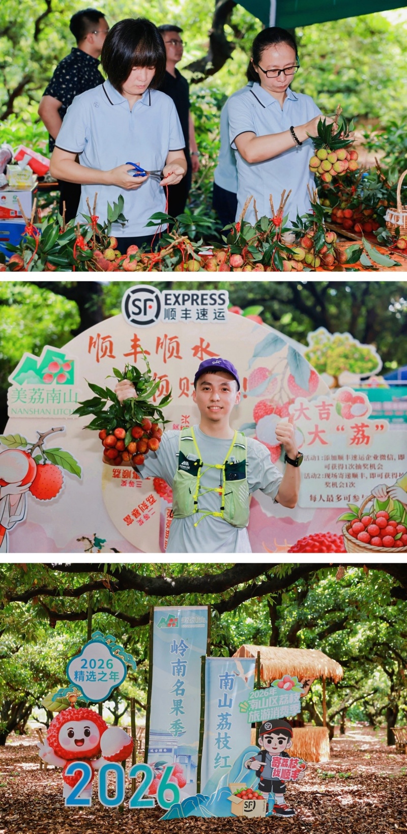 深圳南山百年老树拍卖会落槌,家园好物科技以2.9万元竞得-图片3